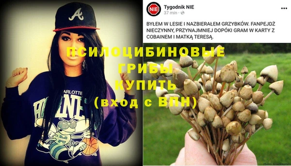 а пвп мука Алзамай