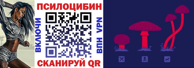 как найти   Новоаннинский  mega зеркало  Псилоцибиновые грибы прущие грибы 